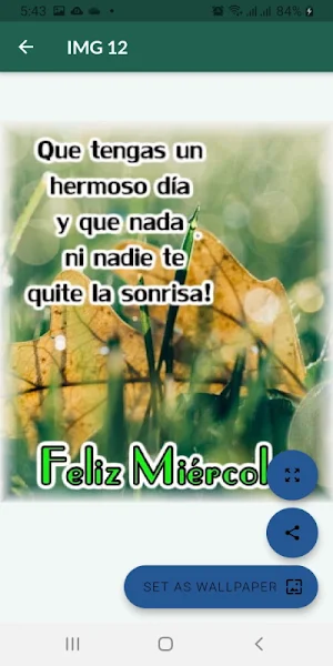 Saludos diarios hermosos Screenshot 3