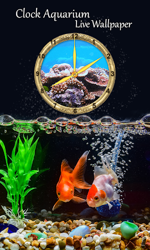 Clock Aquarium Live Wallpaper Screenshot 3