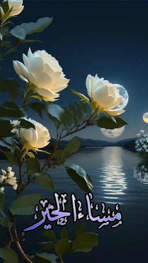 عبارات مساء الخير جديدة Screenshot 0