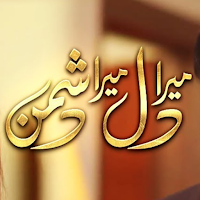 Drama Mera Dil Mera Dushman