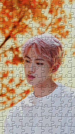 Jin Puzzles Screenshot 2