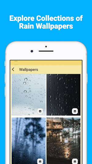 Rain Wallpapers Screenshot 2
