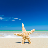 Wallpaper Pantai