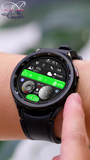 N-SPORT675 Hybird WearOS Face Screenshot 2