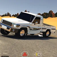 ملك الشاص