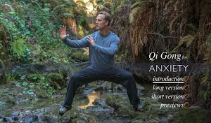 Qi Gong for Anxiety Screenshot 0