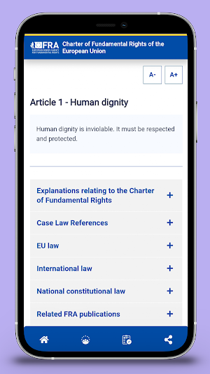 EU Charter Screenshot 3