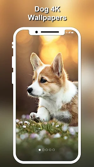 Dog Wallpapers & Puppy Backgro Screenshot 2