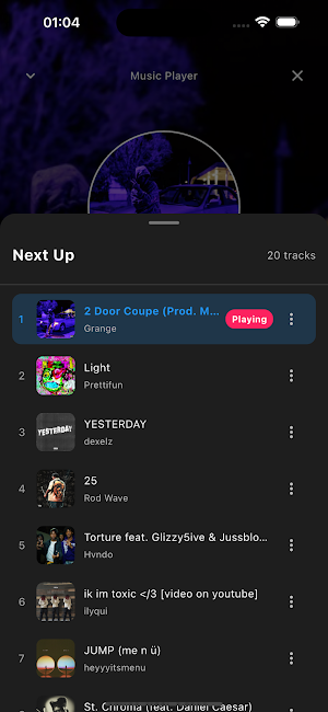 Tubidy Offline Music Player Screenshot 2