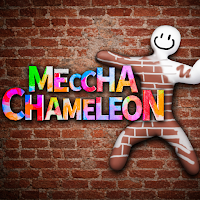 Meccha Chameleon!