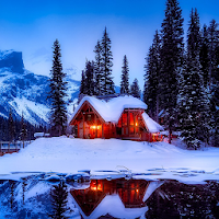 Winter Scenes