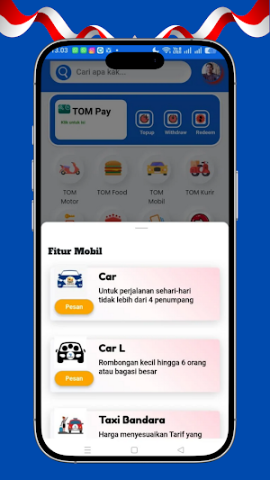 GoTOM Screenshot 3