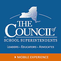 Council's Mobile Experience