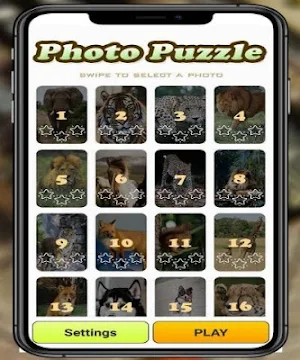 Photo Puzzle Game Screenshot 2