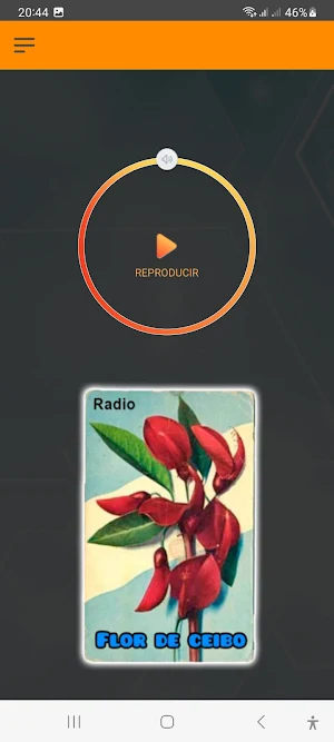 Flor de ceibo Radio Screenshot 2