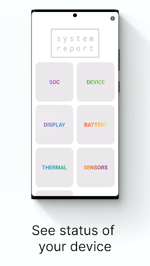 System Report Screenshot 0