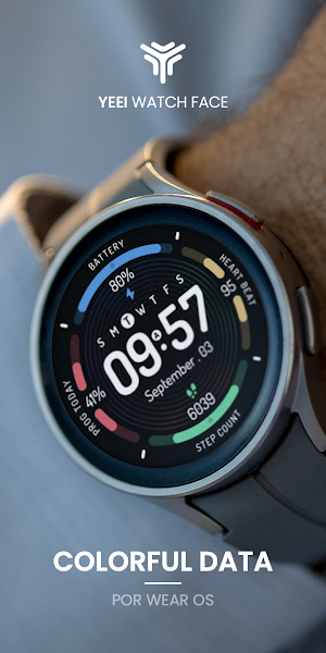 Colorful data: Watch Face Screenshot 3