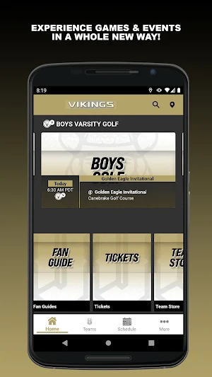 Jasper Vikings Athletics Screenshot 0