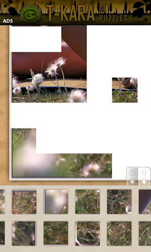 Arranger - The beach Screenshot 2