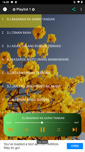 DJ Minang Mp3 Remix 2025 Screenshot 1