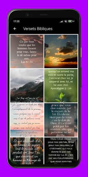 French Bible Louis Segond Screenshot 3