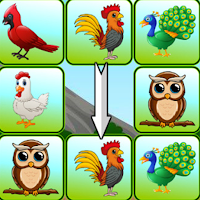Bird Sanctuary Match