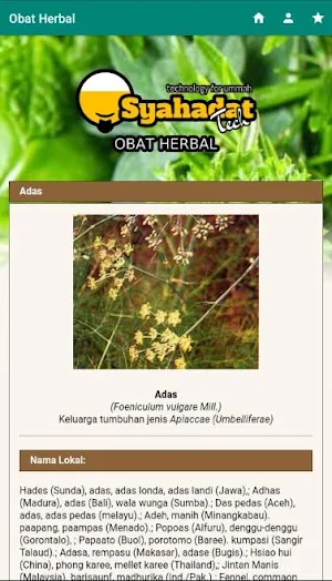 Obat Herbal Screenshot 2