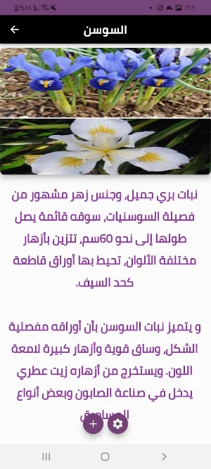 انواع الزهور Screenshot 2