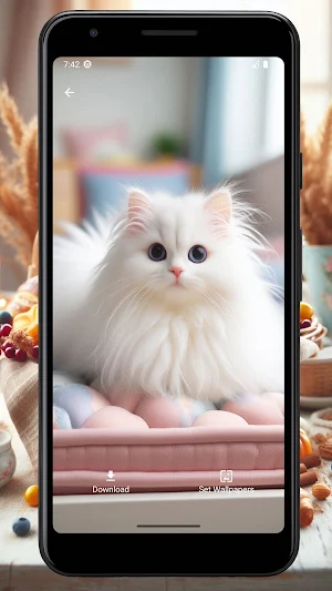 Wallpaper Kucing Lucu dan Imut Screenshot 0