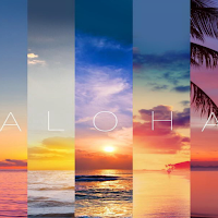 Summer Live Wallpaper Parallax