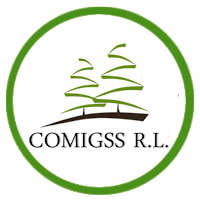 COMIGSS, R. L.