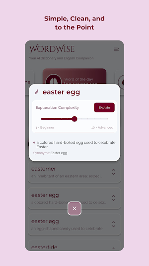WordWise AI Dictionary Screenshot 1
