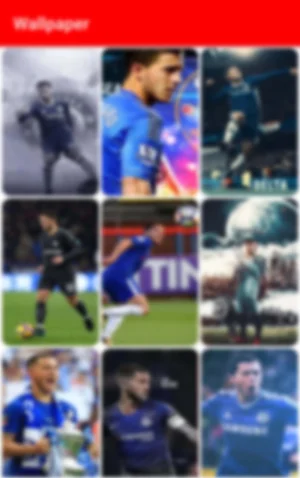Hazard Wallpapers,Puzzle Screenshot 3