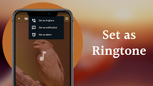Bird Sounds - Nature Bird Calls & Ringtones Screenshot 3