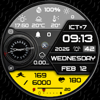N-SPORT728 Hybird Color Watch