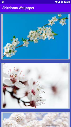 shirohana wp Screenshot 0