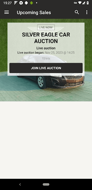 Silver Eagle Auctions Screenshot 0