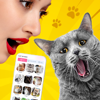 MeowTalk - Cat Translator
