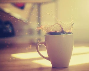 Black Cappuccino Best Theme Wa Screenshot 3