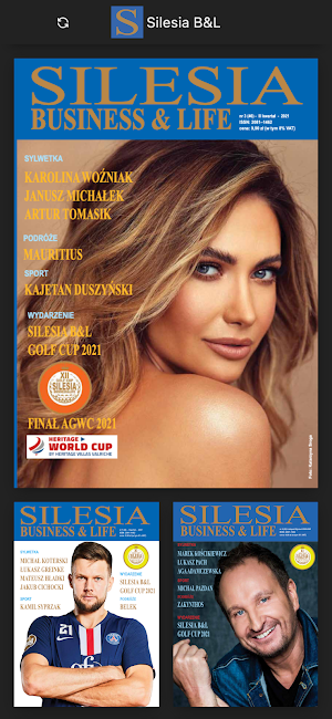 Silesia Business & Life Screenshot 0