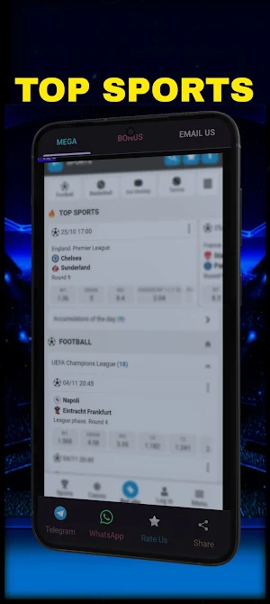 Megapari Betting App Screenshot 2
