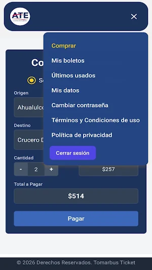 ATE Suburbano Screenshot 3