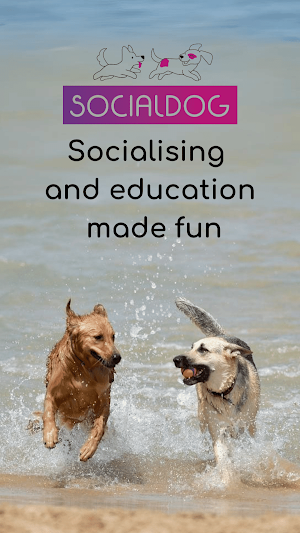 Socialdog Screenshot 0