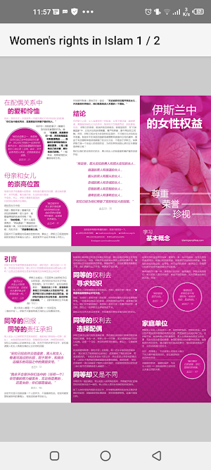 伊斯兰中的女性权益 Screenshot 2