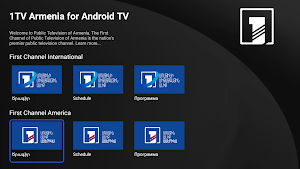 1TV Armenia for Android TV Screenshot 1