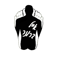 אייל ברונר