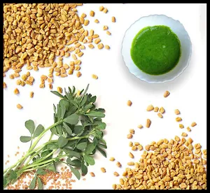 Home Remedies for Hair Loss Screenshot 1