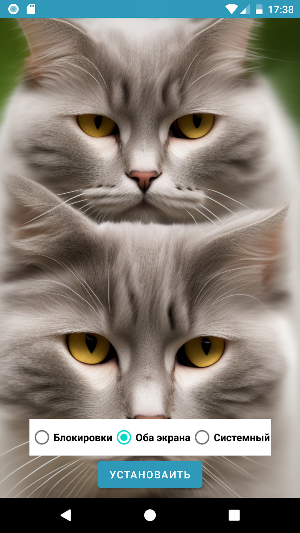 Wallpapers: strange cats Screenshot 2