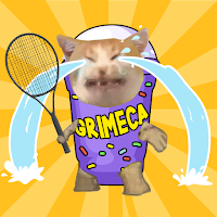 Cat Tennis Master