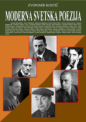 Moderna svetska poezija Screenshot 2